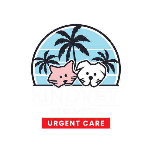 Urgent care logo