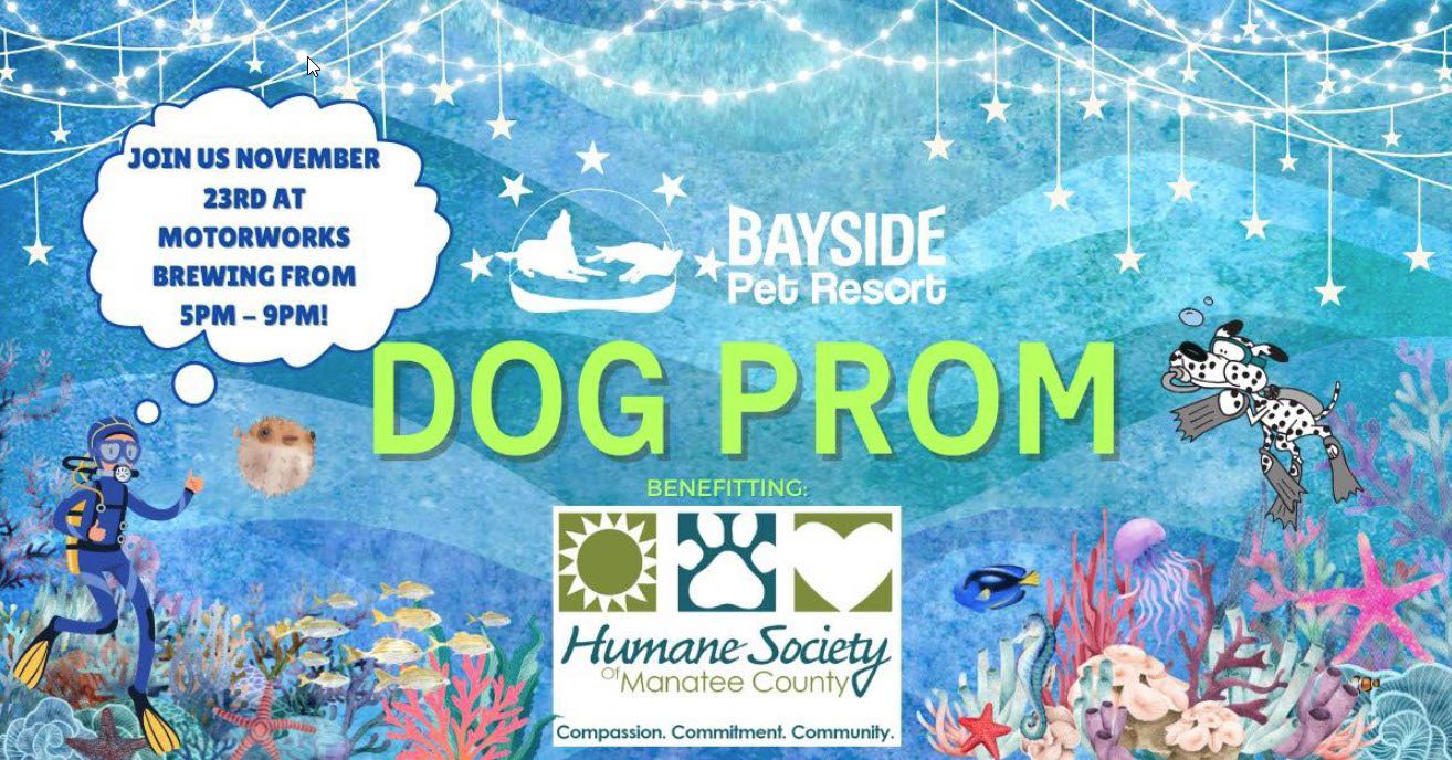 Dog prom flyer