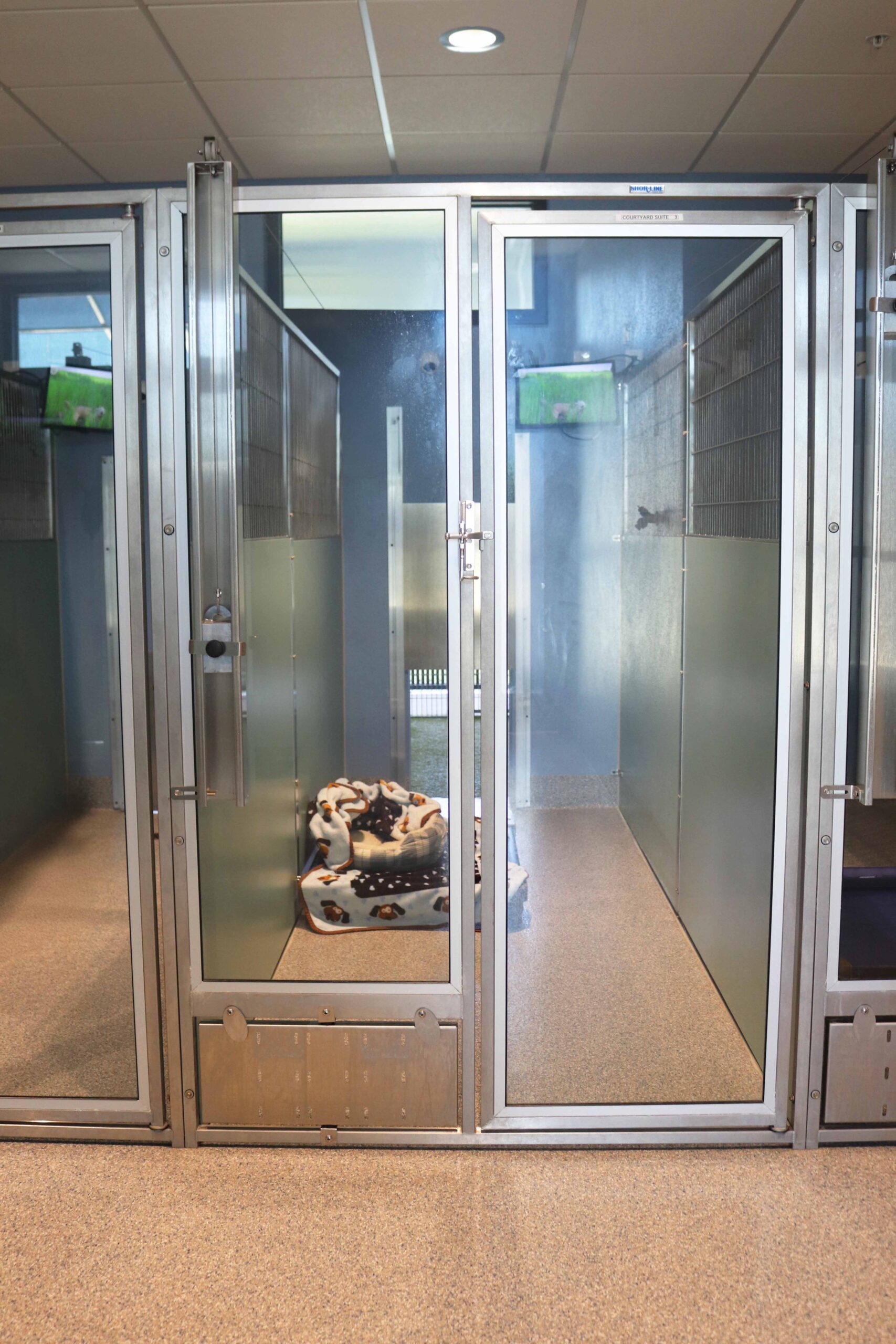 Courtyard Suite for dog boarding