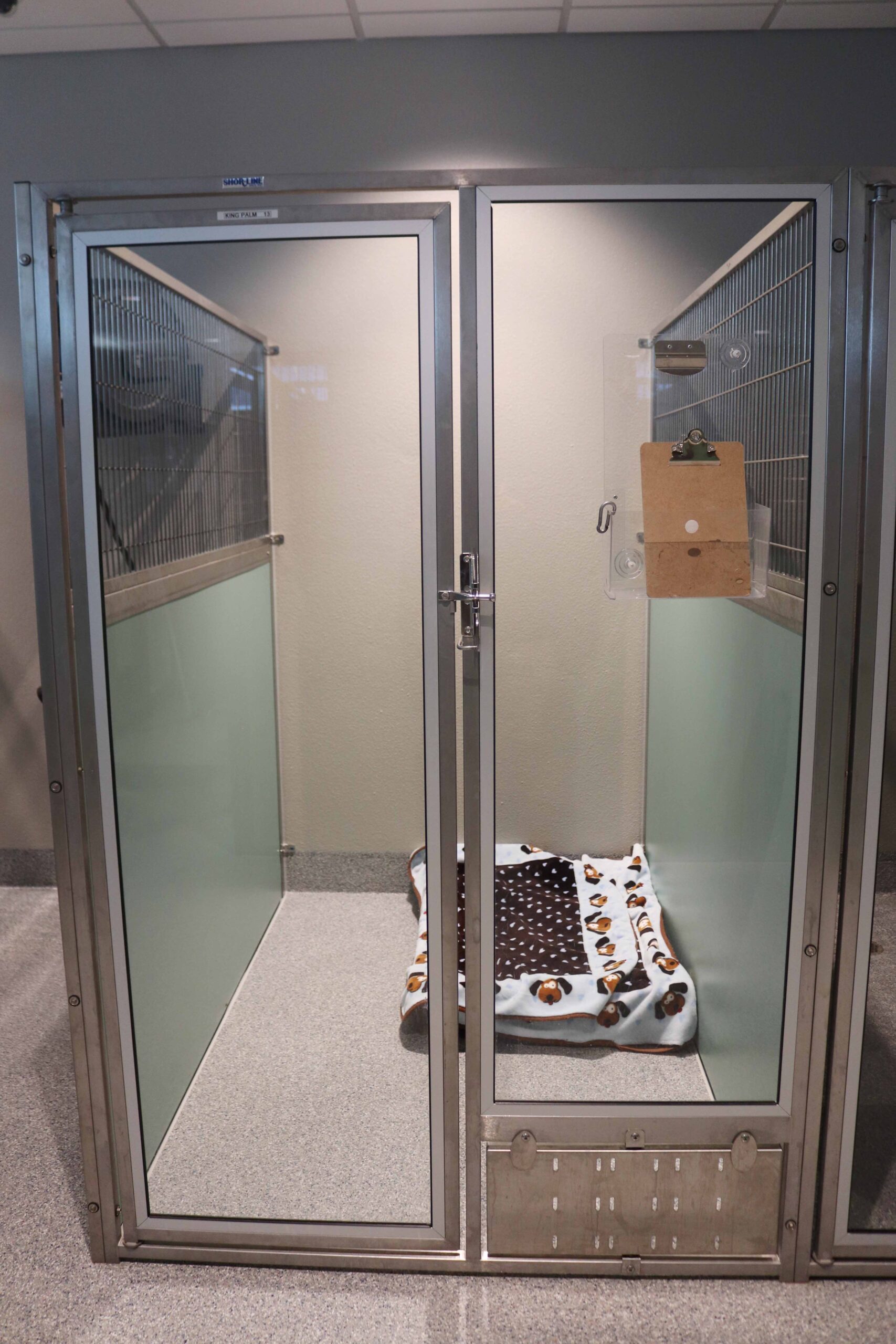 The king suite for dog boarding