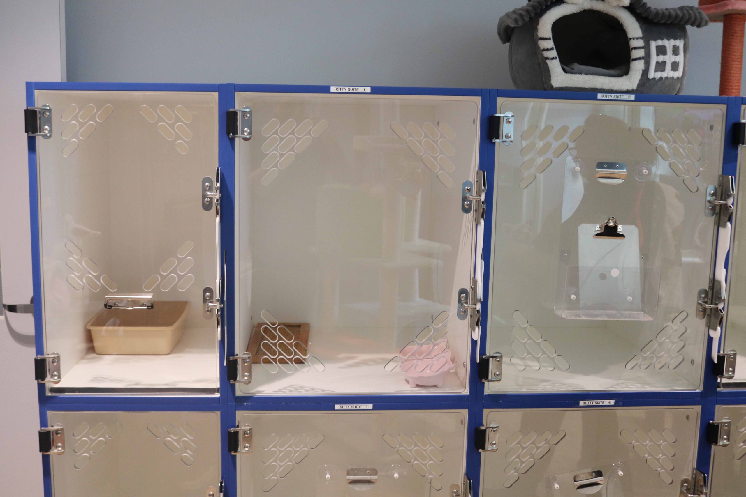Cat boarding suites -- equipped with clear doors, toys, and individual litter boxes.