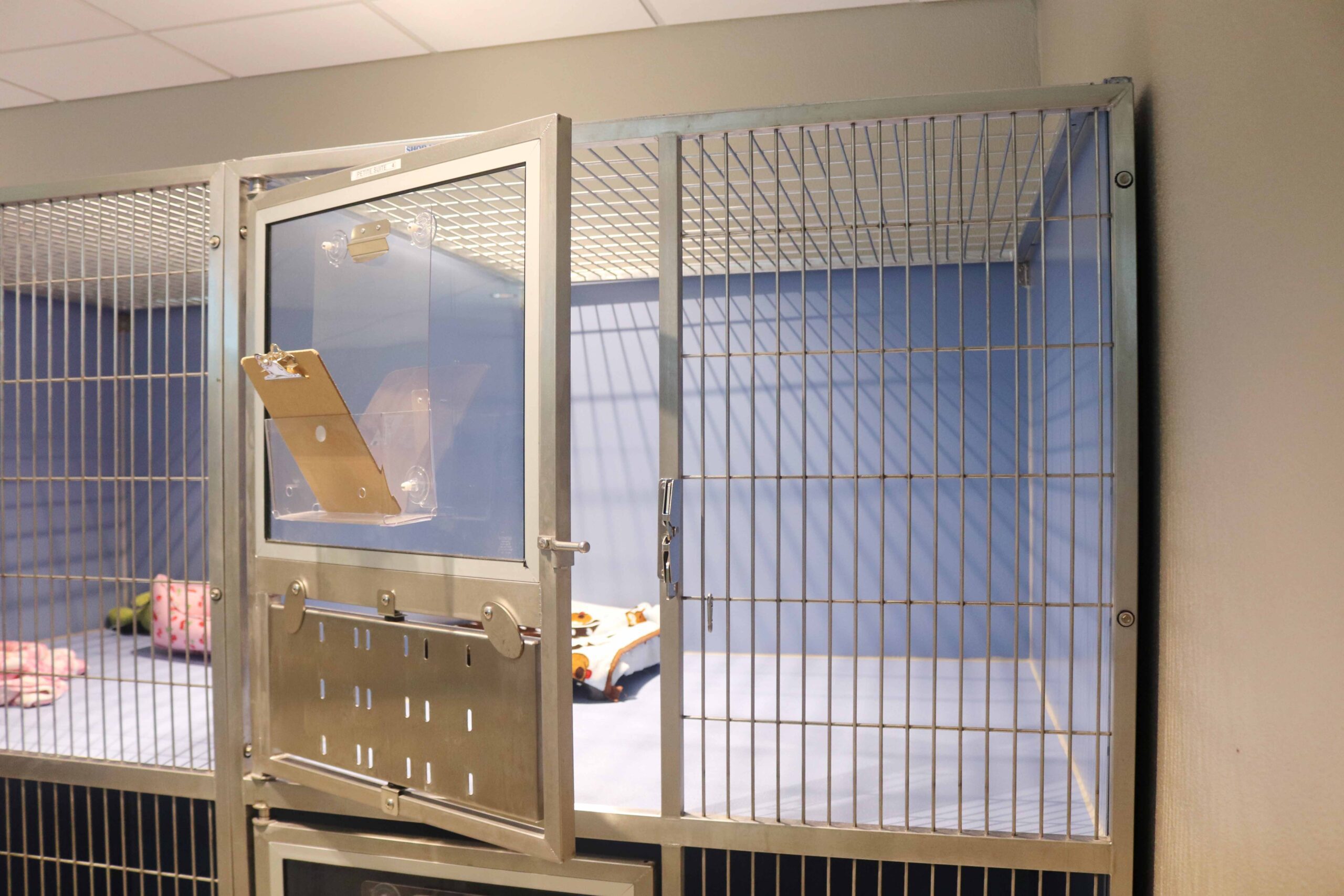 A small dog boarding suite