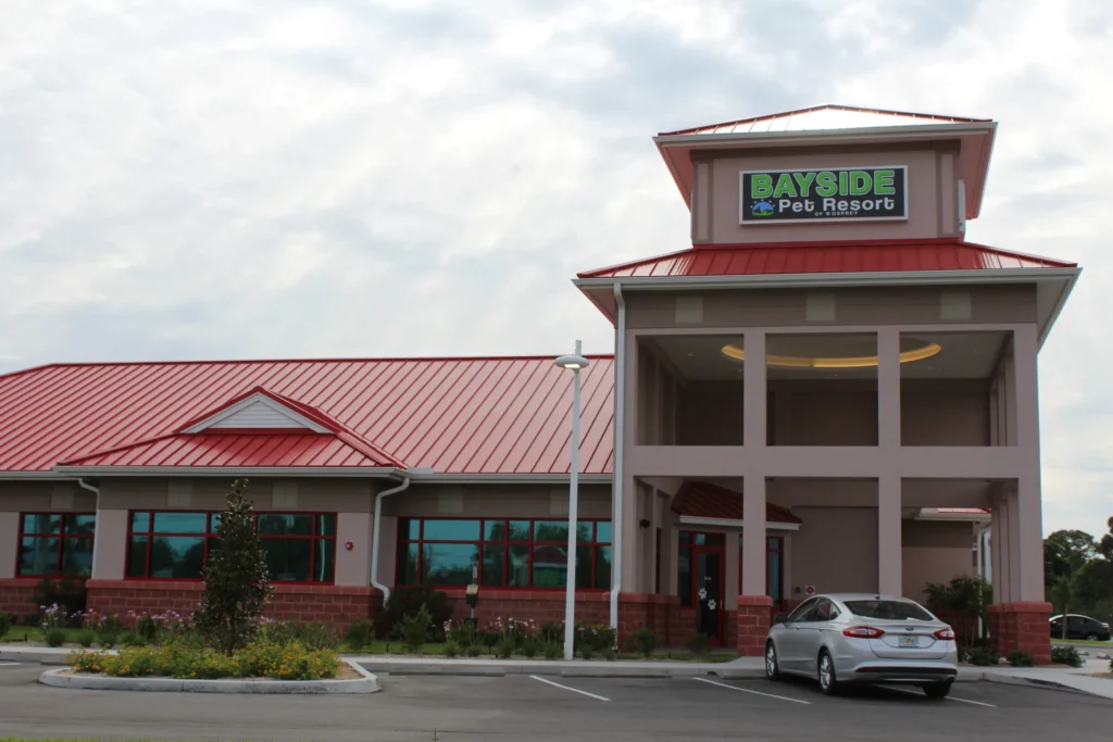 Bayside pet resort location